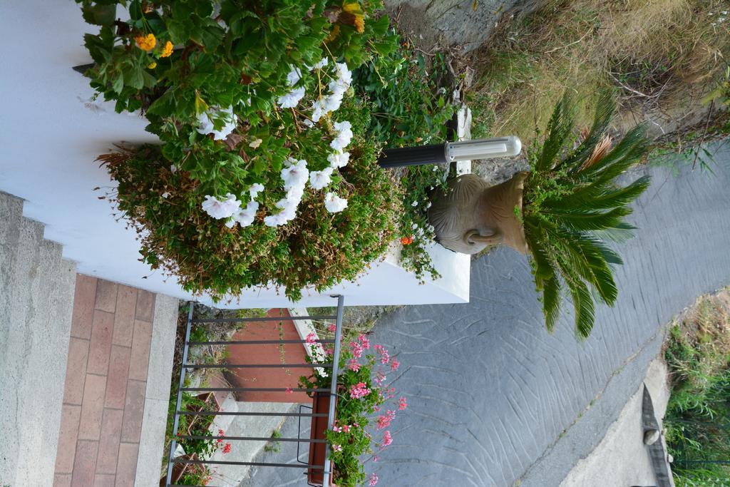 B&B La Casa Rossa Paola Ngoại thất bức ảnh